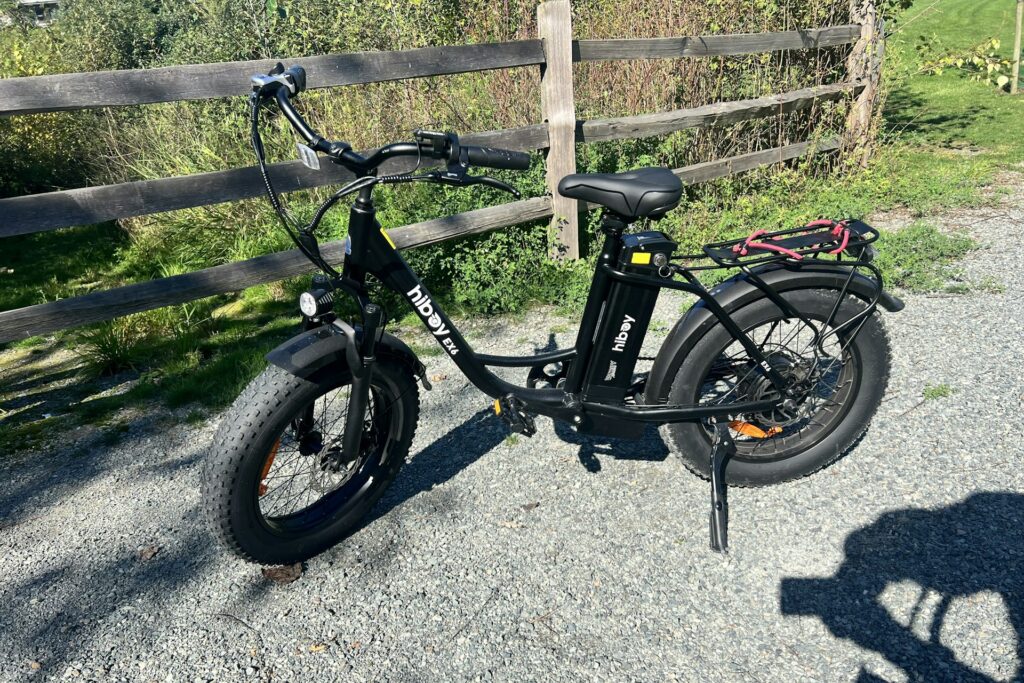 elektrische fiets service elektrische fiets service